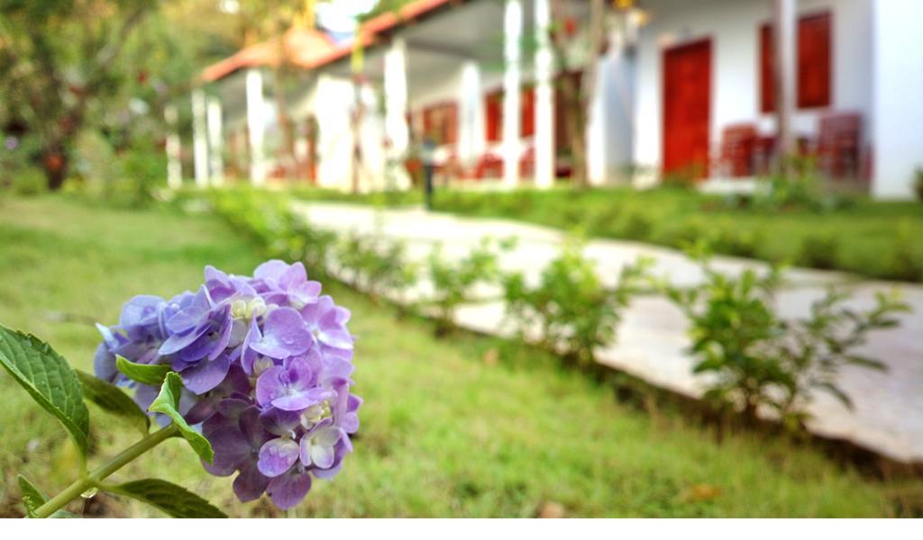 Highland Bungalow Phú Quý Zewnętrze zdjęcie
